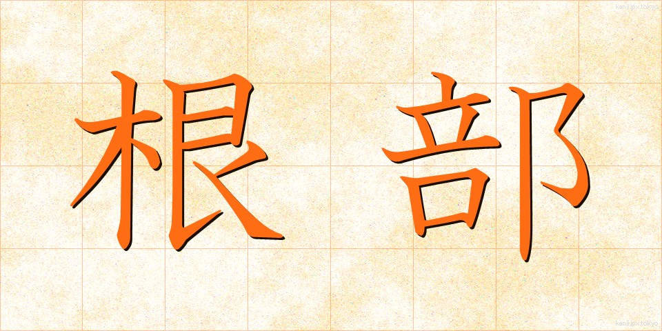 根部 (こんぶ)