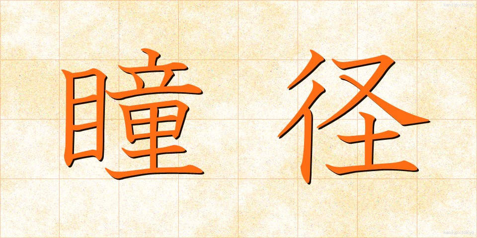 瞳径 (どうけい)