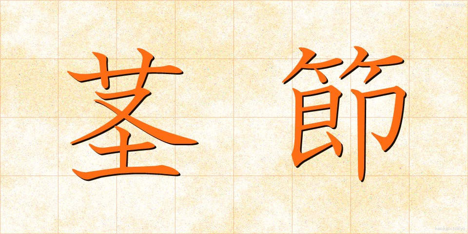茎節 (けいせつ)