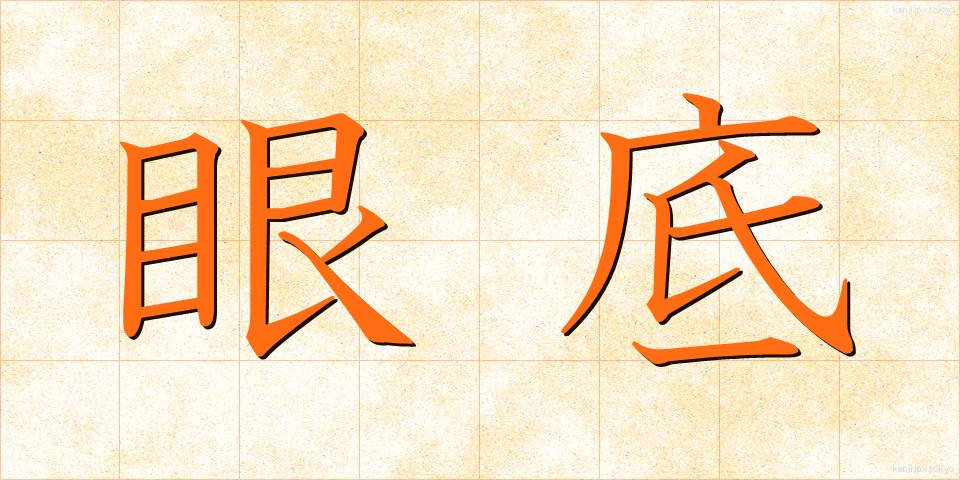 眼底 (がんてい)