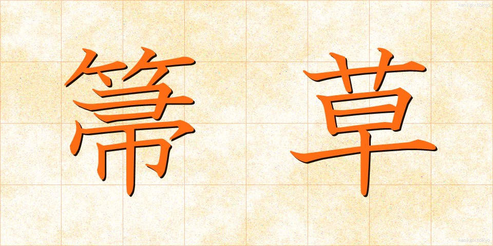 箒草 (ほうき)