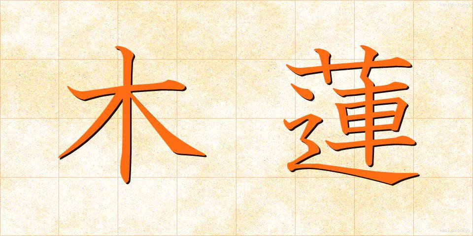 木蓮 (もくれん)