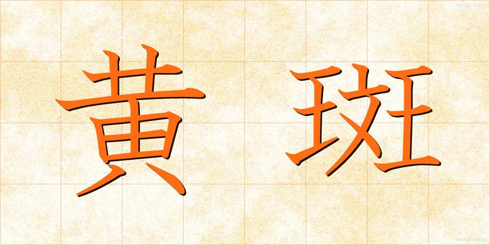 黄斑 (おうはん)