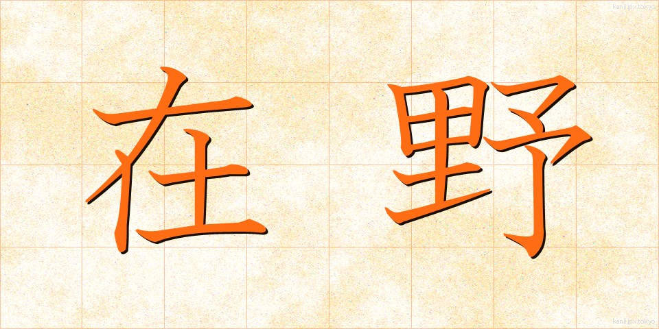 在野 (ざいや)