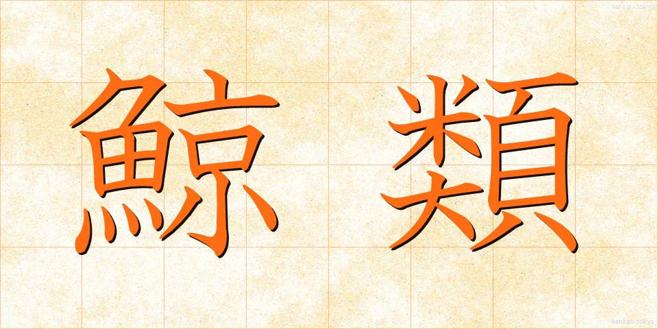 鯨類 (くじらるい)