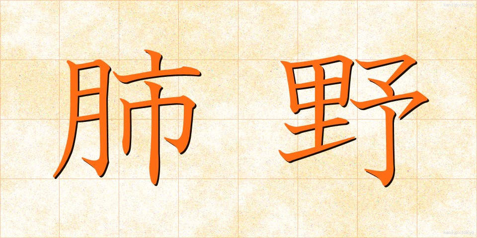 肺野 (はいや)