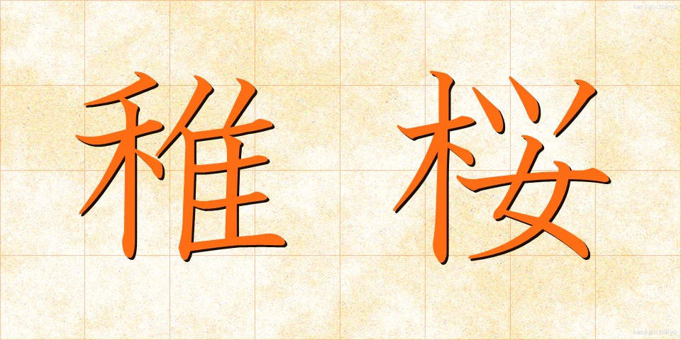 稚桜 (ちざくら)