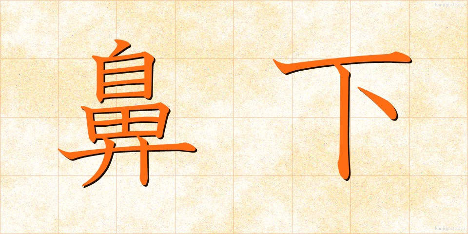 鼻下 (びか)