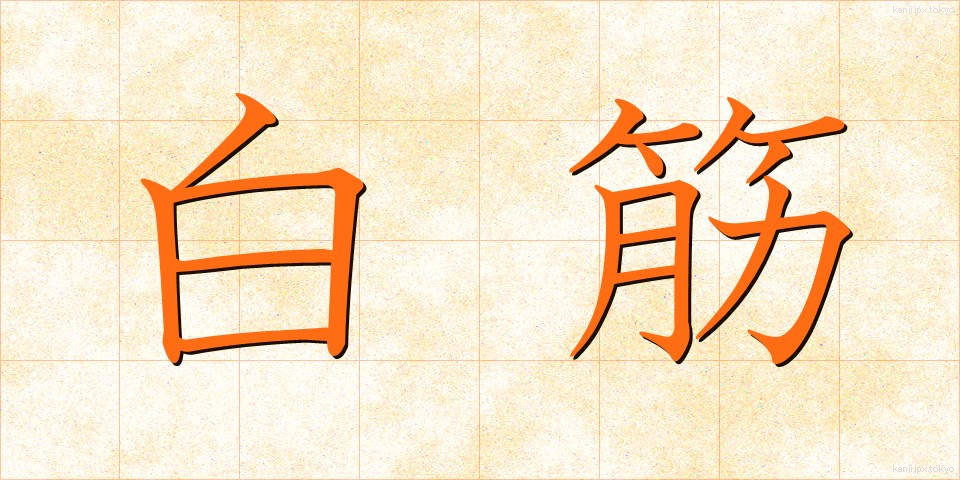 白筋 (しろすじ)