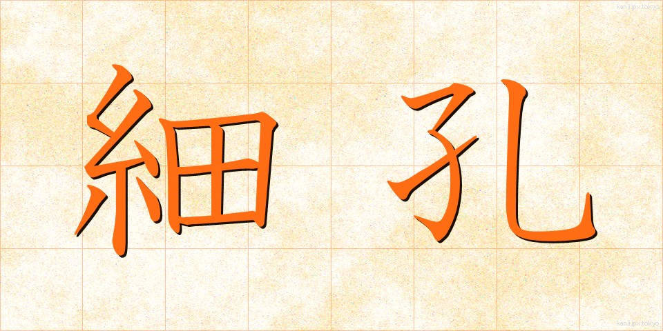 細孔 (さいこう)