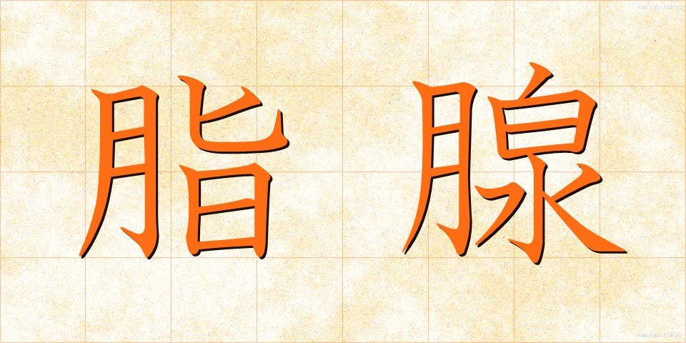 脂腺 (しせん)
