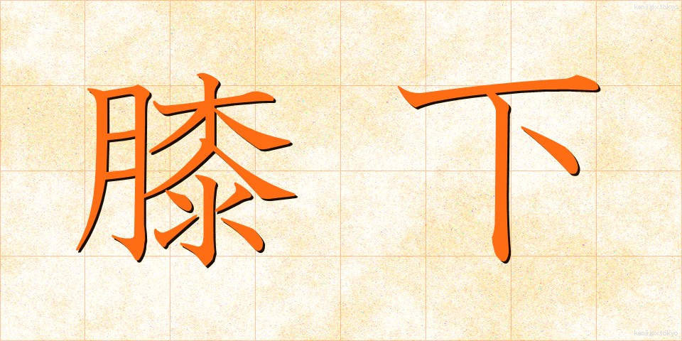 膝下 (ひざした)