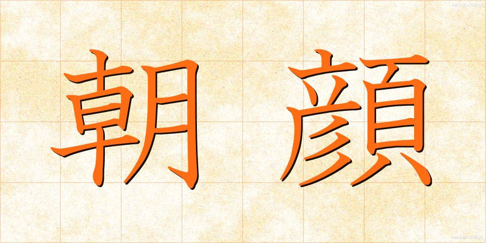 朝顔 (あさがお)