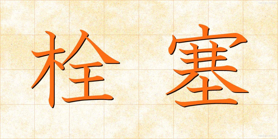 栓塞 (せんそく)