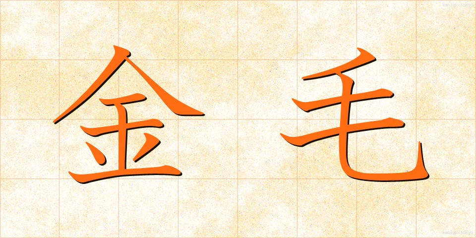 金毛 (きんもう)