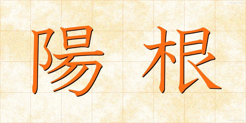陽根 (ようこん)