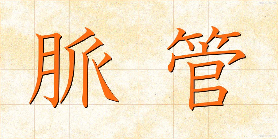 脈管 (みゃくかん)