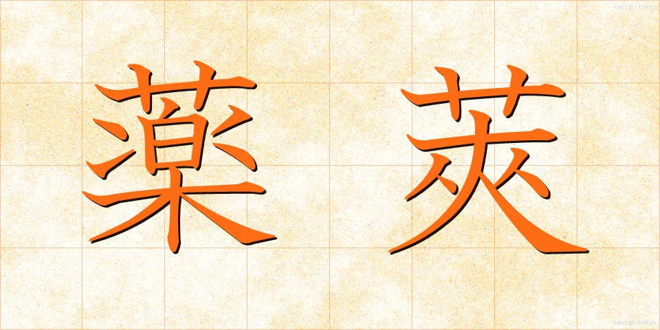 薬莢 (やっきょう)