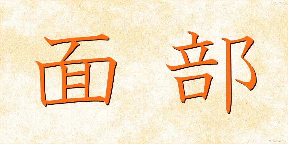 面部 (めんぶ)