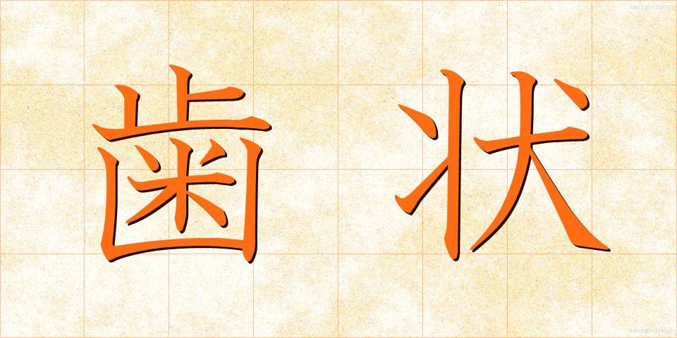 歯状 (しじょう)