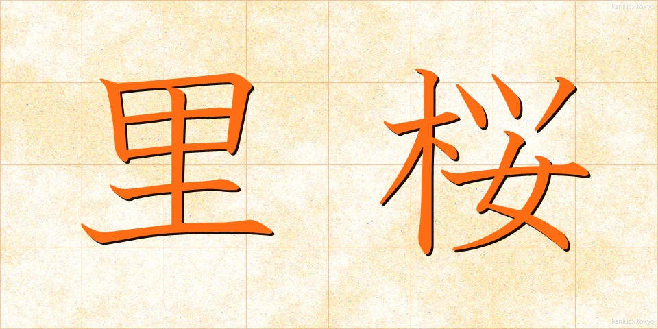 里桜 (さとざくら)