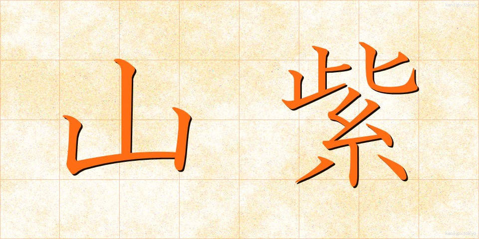 山紫 (やまむらさき)