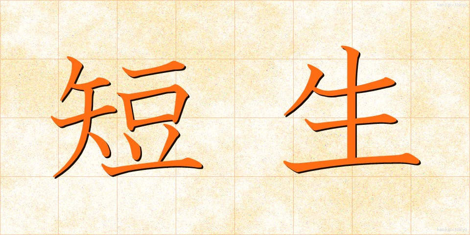 短生 (たんせい)