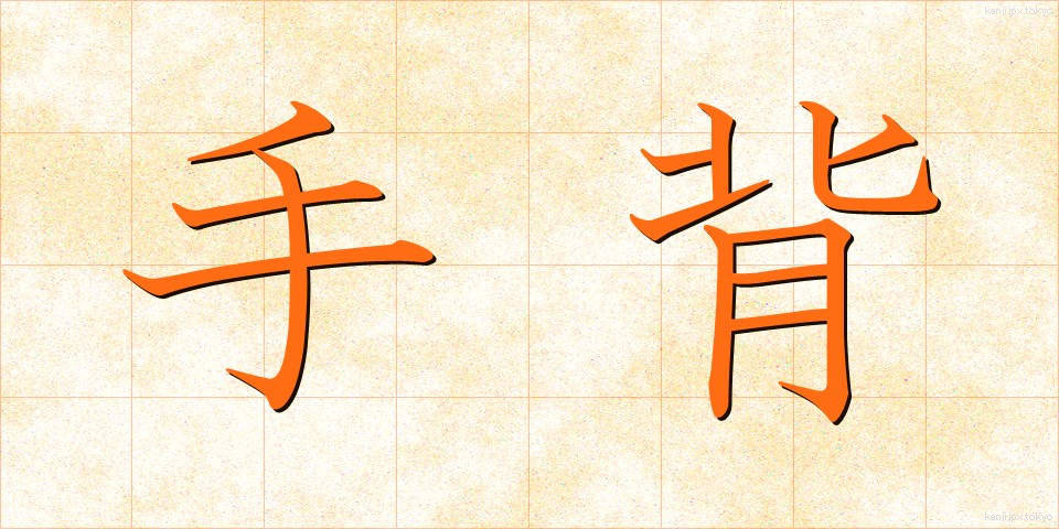 手背 (てはい)