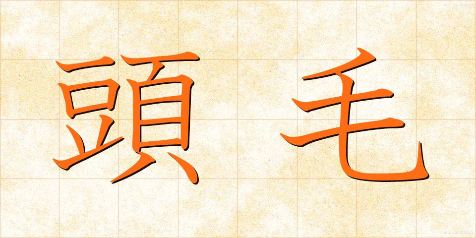 頭毛 (とうもう)