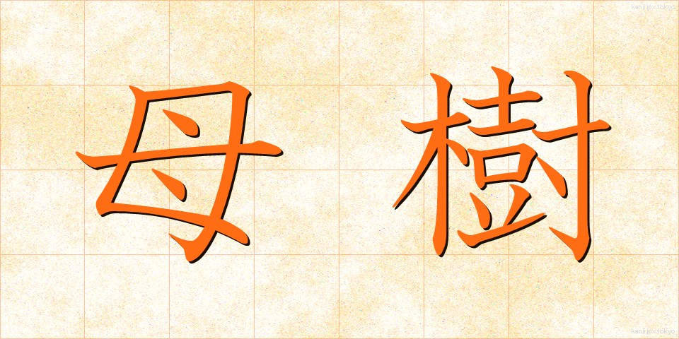 母樹 (ぼじゅ)
