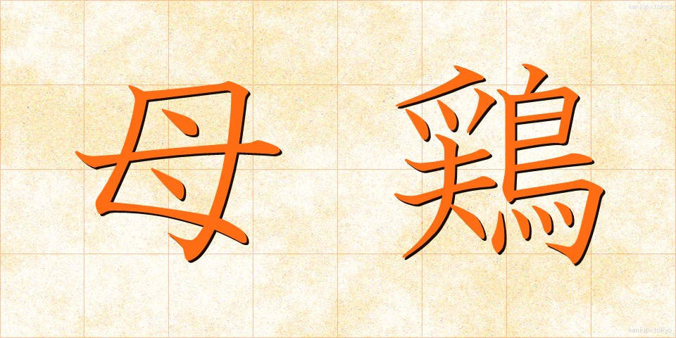 母鶏 (めんどり)