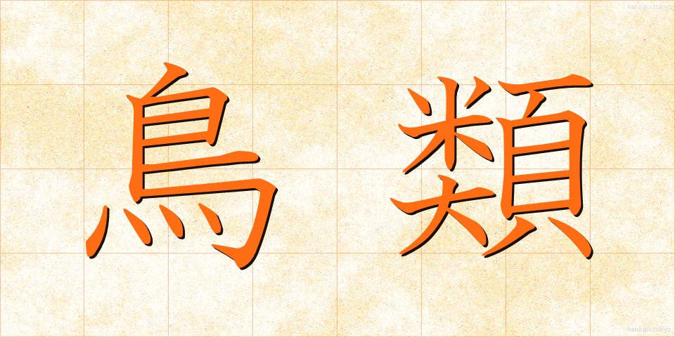 鳥類 (ちょうるい)