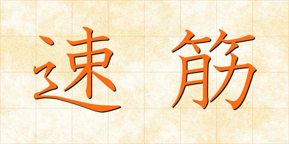 速筋 (そっきん)