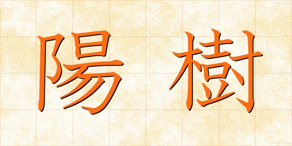 陽樹 (ようじゅ)