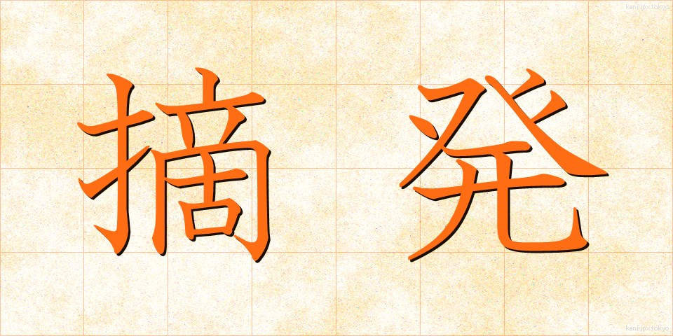 摘発 (てきはつ)