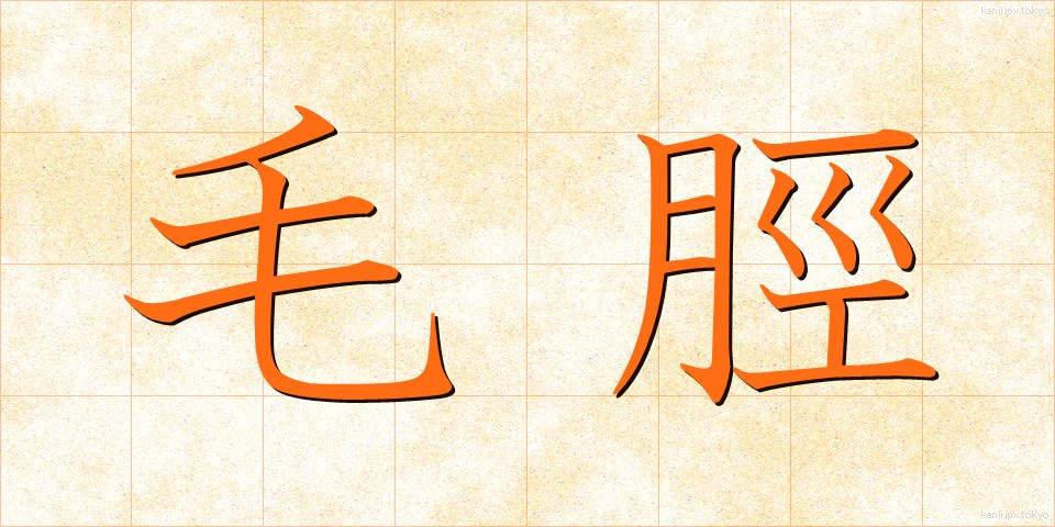 毛脛 (もうすね)