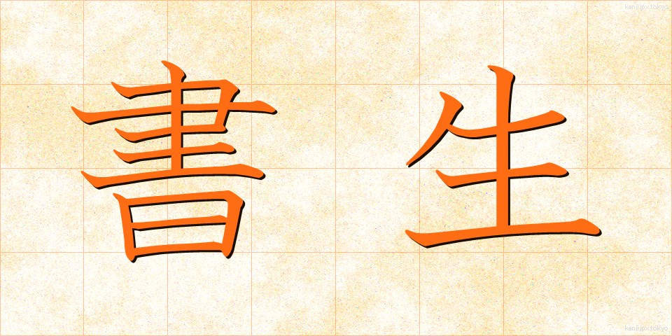 書生 (しょせい)