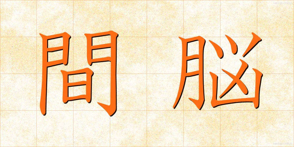 間脳 (かんのう)