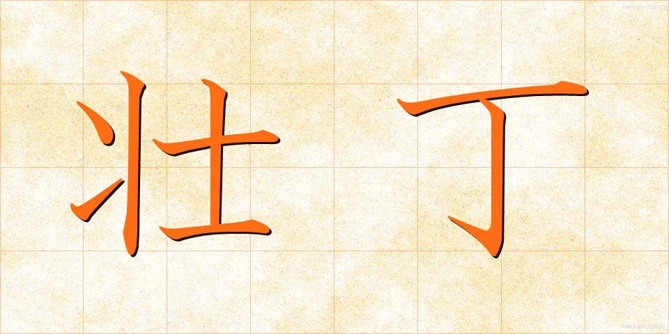 壮丁 (そうてい)
