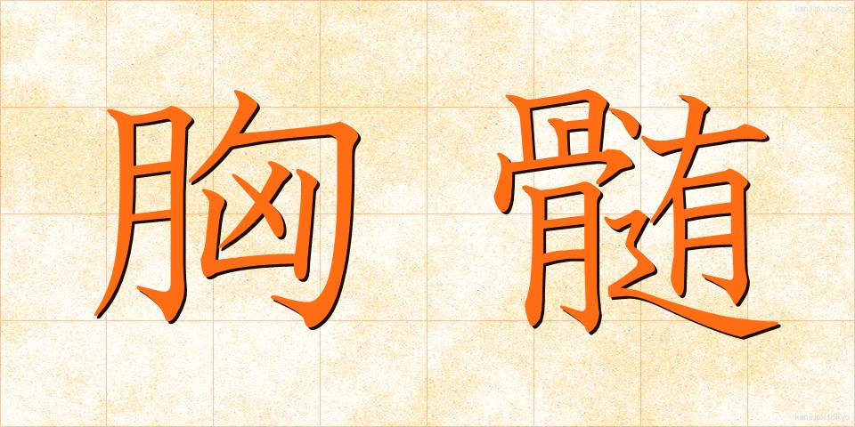 胸髄 (きょうずい)