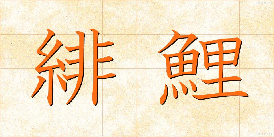緋鯉 (ひごい)