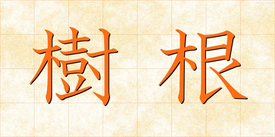 樹根 (じゅこん)