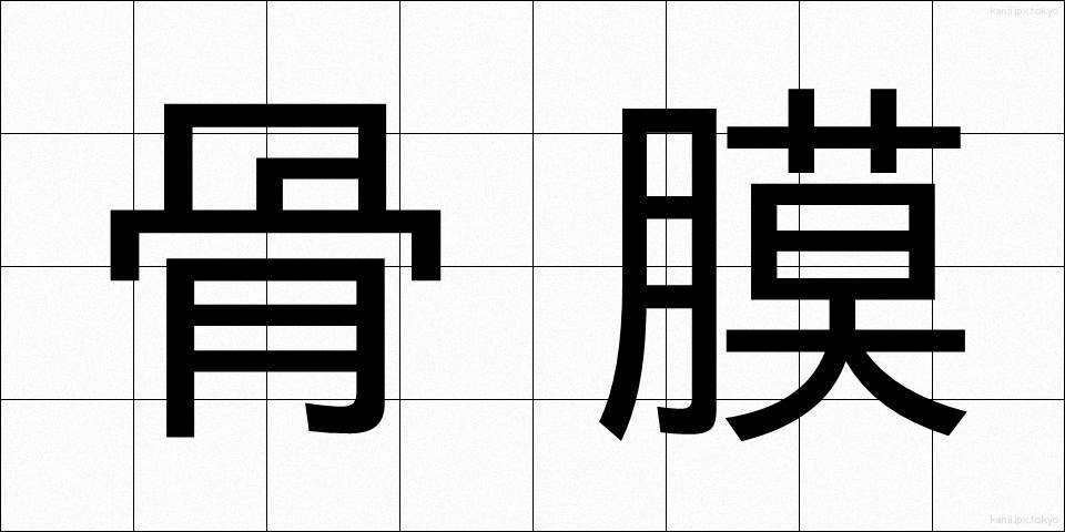 骨膜 (こつまく)