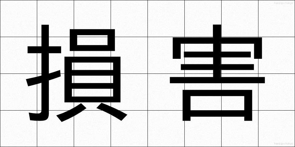 損害 (そんがい)