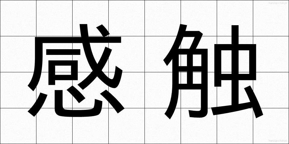 感触 (かんしょく)