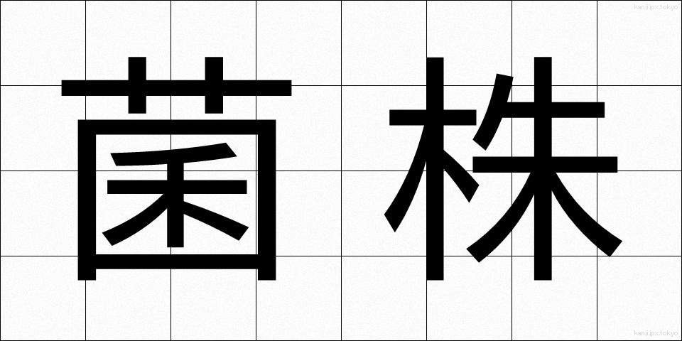 菌株 (きんかぶ)