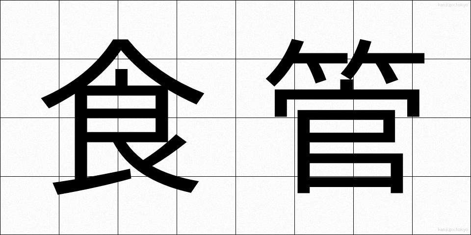 食管 (しょっかん)