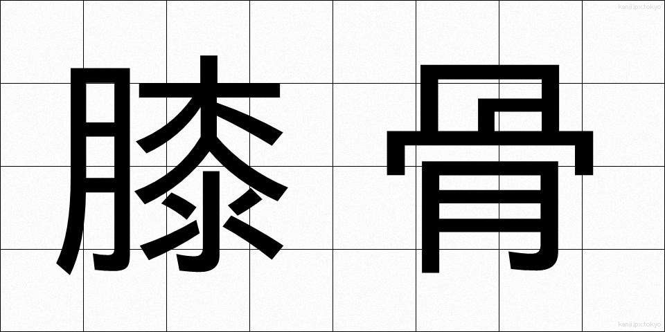 膝骨 (しっこつ)