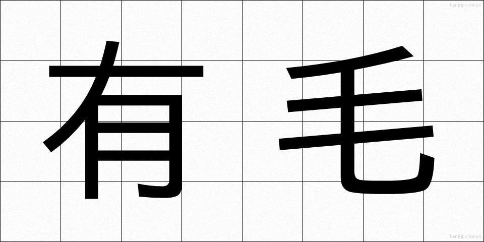 有毛 (ゆうもう)