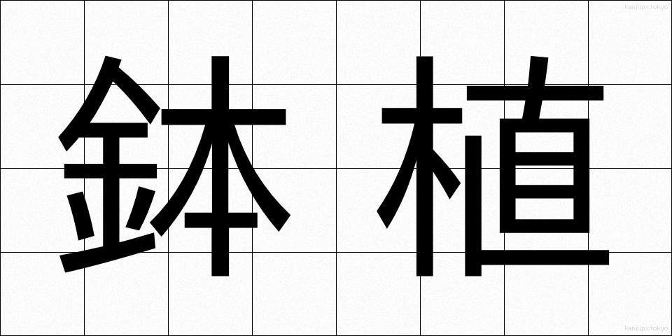 鉢植 (はちうえ)